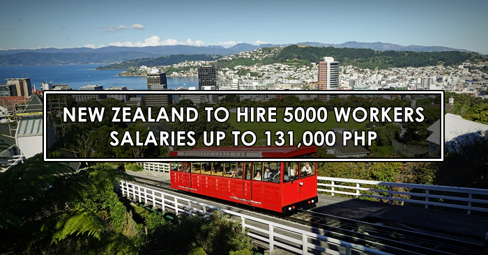 new zealand skilled workers job hiring