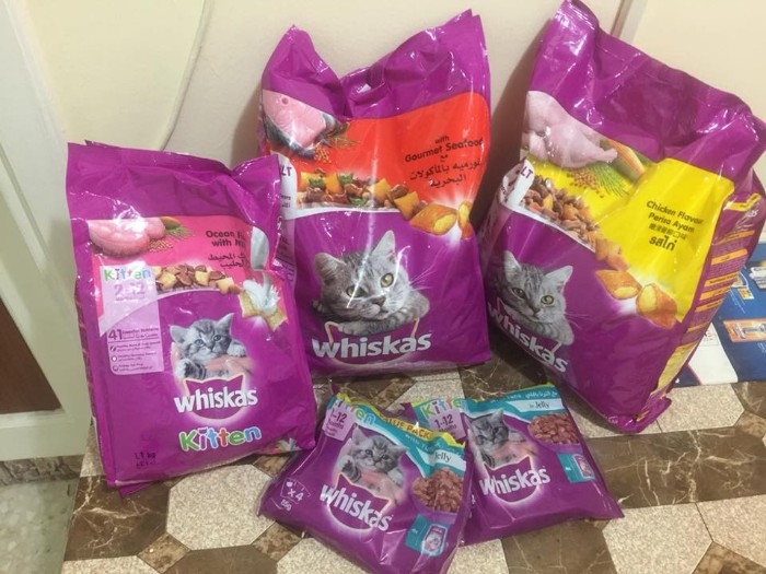 donates-cat-food