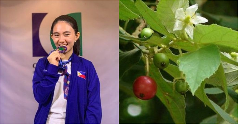 Young Filipino Student Discovers Potential Cure for Diabetes