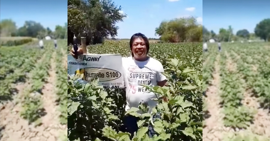 VIDEO Farmer Gives Away Vegetable Harvest to Neighbours in Need