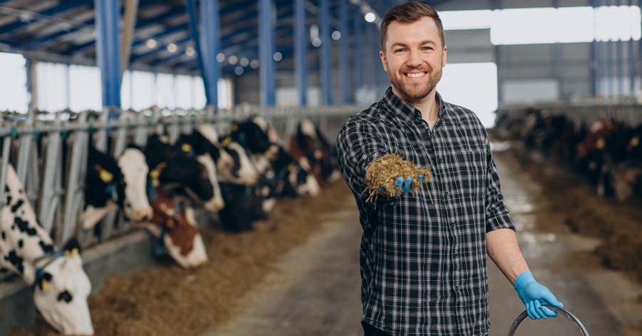 how to apply as dairy farmer in ireland