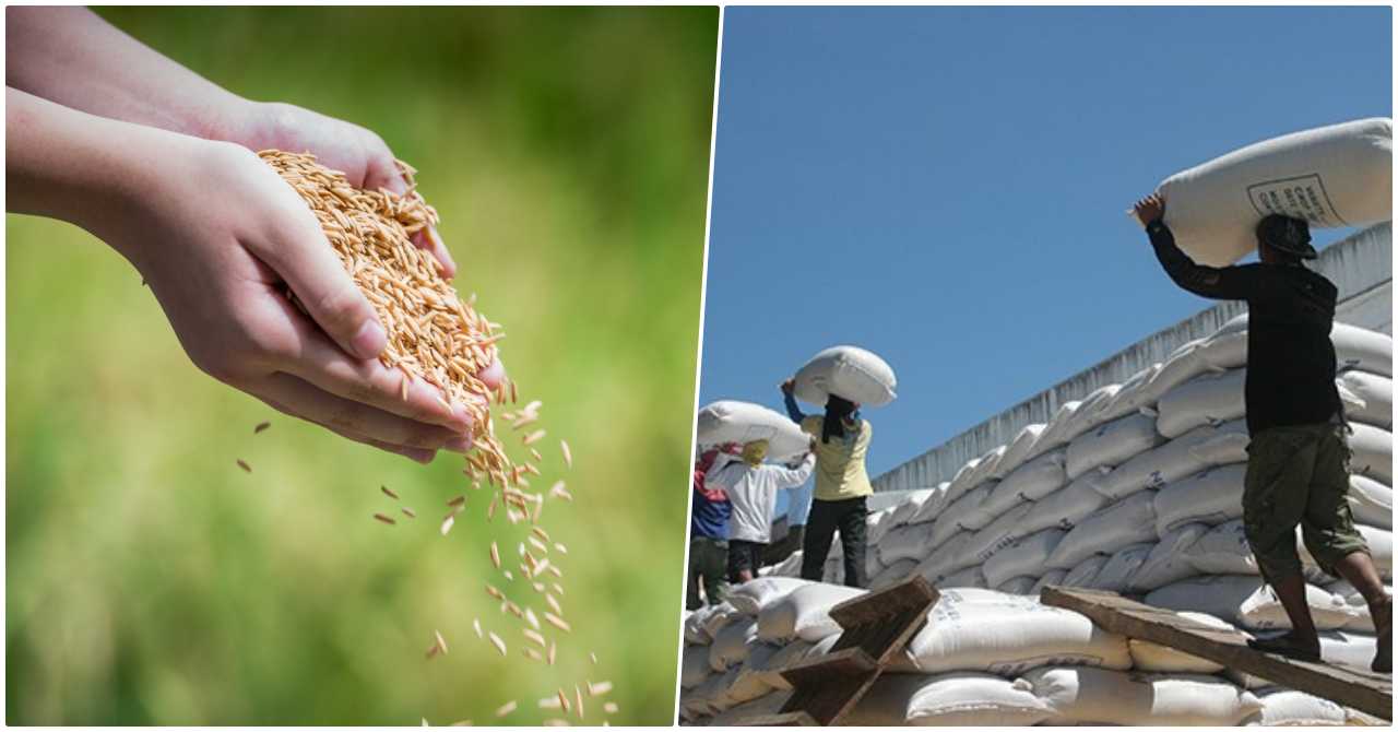 rice retailing business