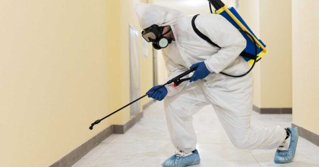 Best Pest Control Companies in Luzon / Metro Manila - The Pinoy OFW