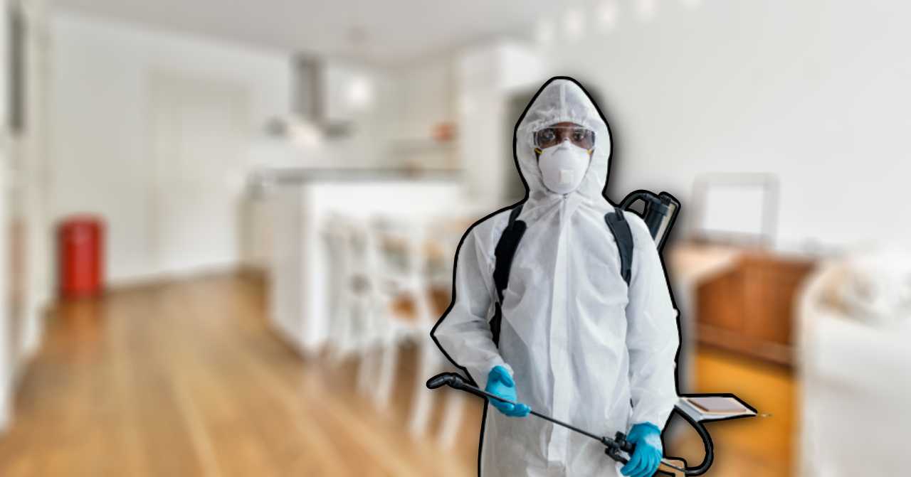 15 Pest Control Services in Taiwan