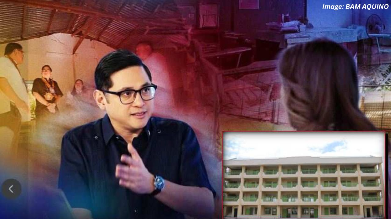 50 Indian Star Tortoises Seized at NAIA Terminal 1; Malaysian Passenger Arrested