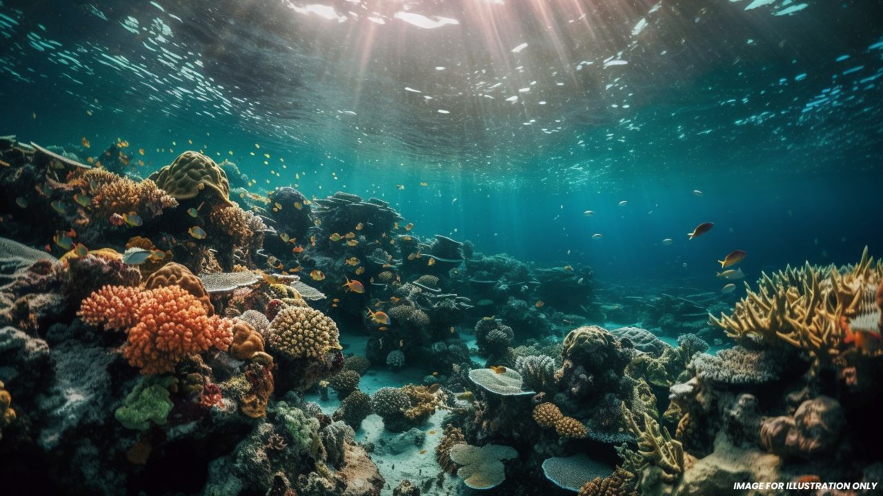 Philippines Secures $220 Million or ₱14 Billion French Loan to Protect Oceans, Grow the Blue Economy